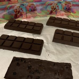 wonder trip blueberry fruit chocolate bars