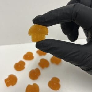 Wonder Trip Gummies (Citrus Bloom)