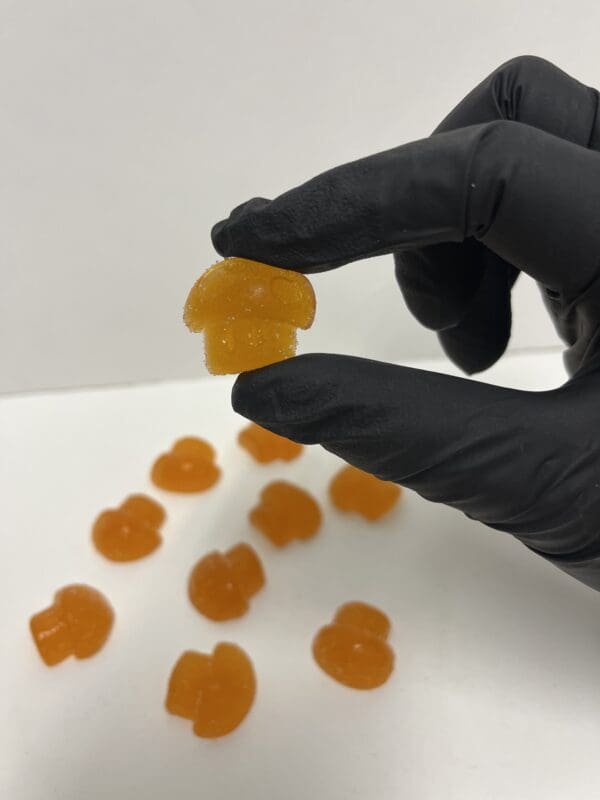 Wonder Trip Gummies (Citrus Bloom)