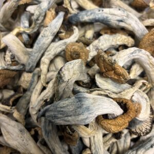 PE6 (1/8th) Dried Fruits