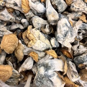 Makilla Gorilla (1LB) Dried Fruits