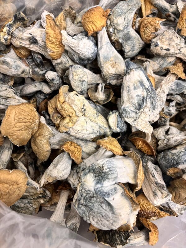 Dried Fruits (Makilla Gorilla) 1oz - Image 2