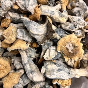 Dried Fruits (Makilla Gorilla) 1oz