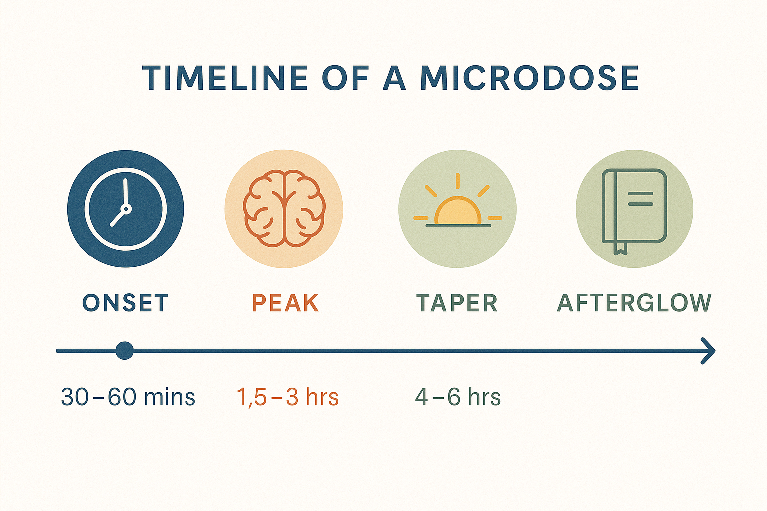 Infographic showing the stages of a psilocybin microdose: onset, peak, taper, and afterglow