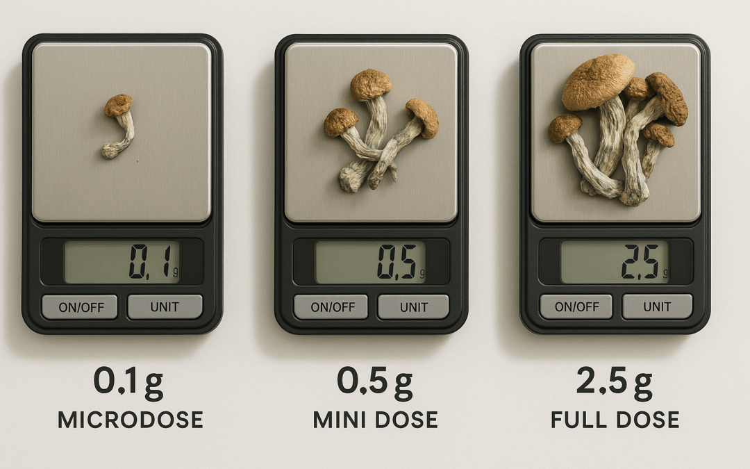 Microdose vs Full Dose: Understanding the Differences in Psilocybin Use