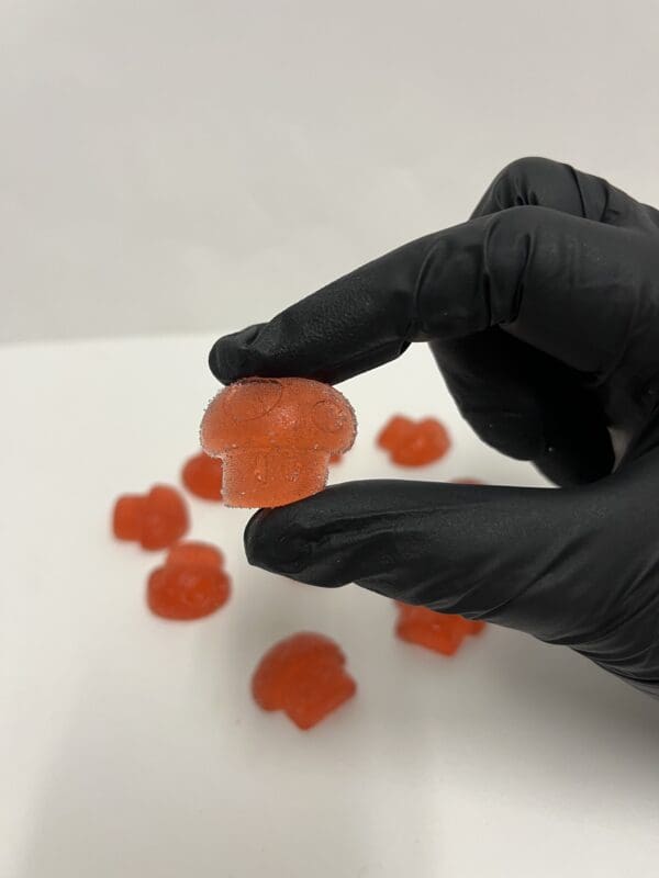 Wonder Trip Gummies (Fruit Punch)