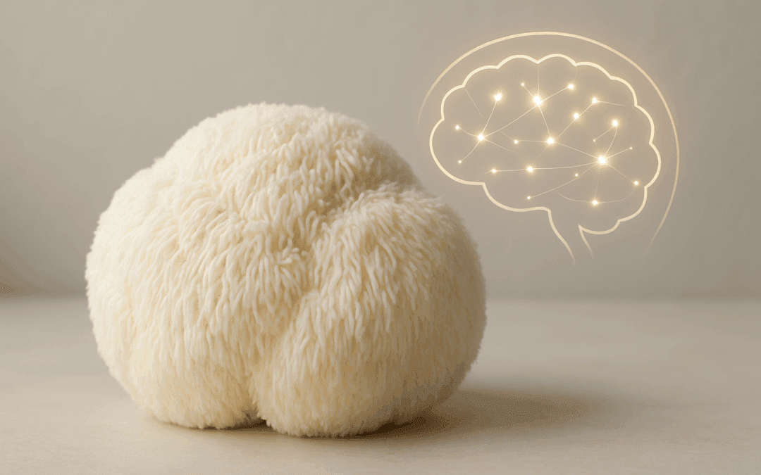 Can Functional Mushrooms Support ADHD? Exploring the Potential