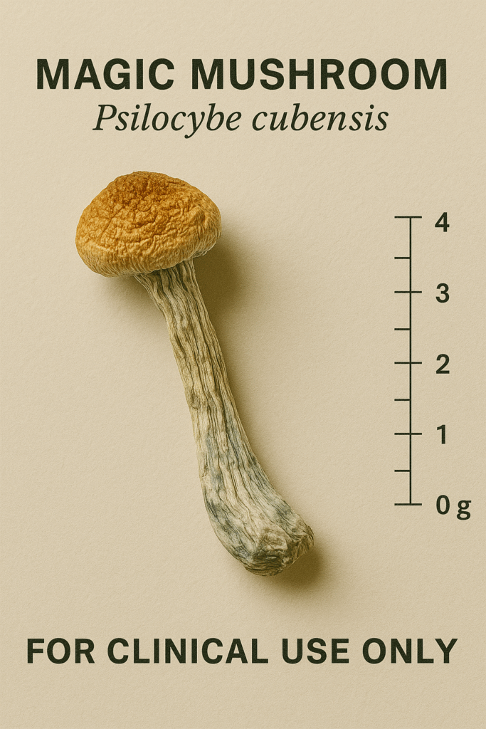 magic mushroom pill bottle clinical depression use