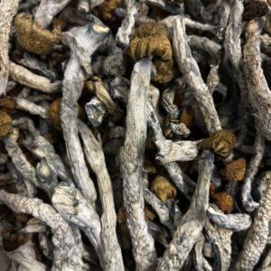 Tidal Wave (1/8th) Dried Fruits